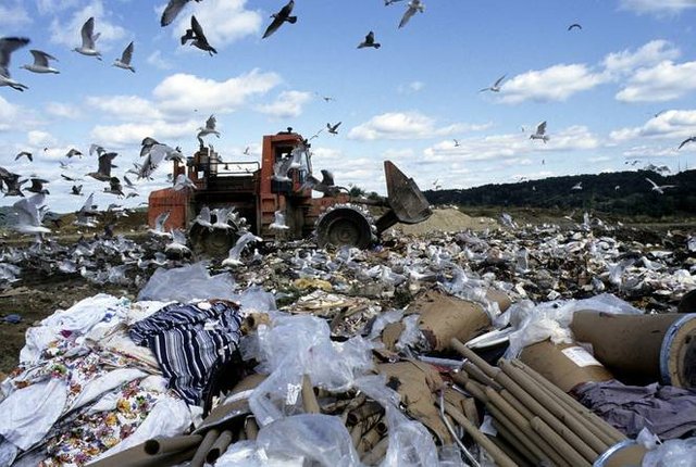 Image result for world wide waste
