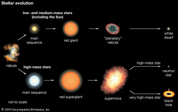 Explosion of a Supernova — Steemit