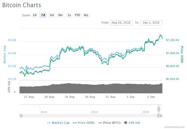 Bitcoin’s 7-day price chart
