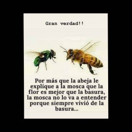 Por más que la abeja le explique a la mosca que la flor es mejor que la basura la mosca no lo va a entender porque siempre vivió de la basura