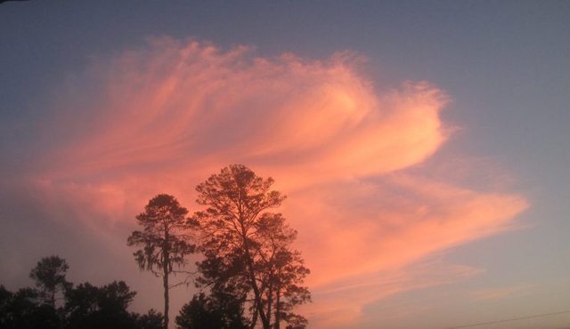 Sunset in Hernando County, FL by Meredith Loughran