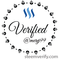 merej99 is verified by Steem-verify