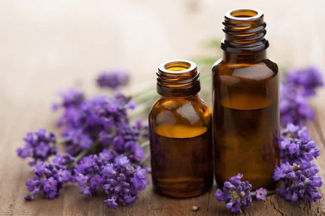 Image of Lavender Oil