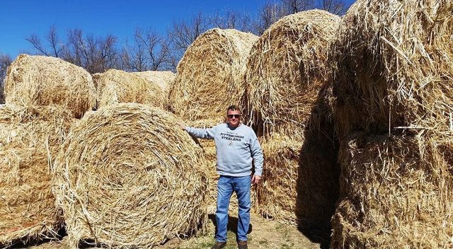 hemp hurds for animals