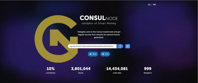 Consul Node