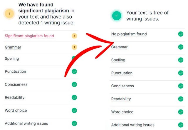 Bypassing the Grammarly plagiarism checker