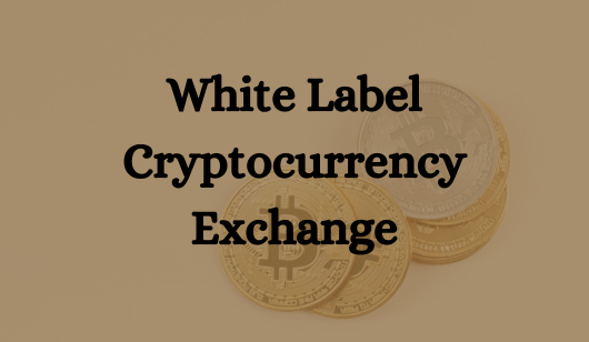 Unveiling the Power of White Label Crypto Exchanges: A Comprehensive Guide  | by Oodles Blockchain | Medium