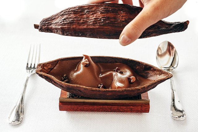 Cocoa bean dessert in a cocoa husk