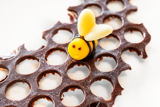 Chocolate bee