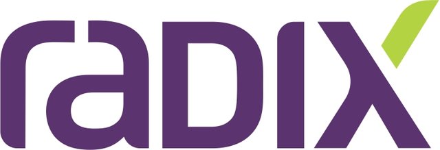 Radix AI Solutions