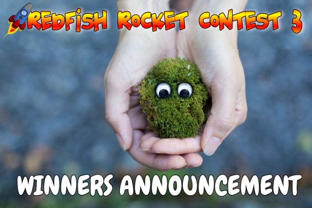 Redfish Rocket Contest 3 -winners announcement