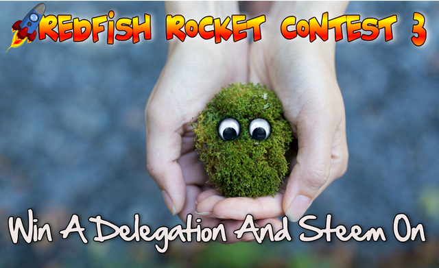 Redfish Rocket Contest - win a delegation