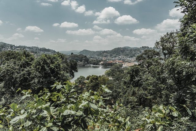 kandy viewpoint forest reserve