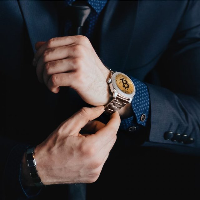 Bitcoin in Brief: Blockchain Wars and a Sleuth of Bears