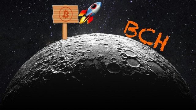 CNBC, Bitcoin Cash (BCH) Aşkını Gösteriyor Mooning'i Kestiriyor