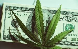 TASE Shell Şirketi “Blockchain” den Cannabis'e Planları Değiştiriyor