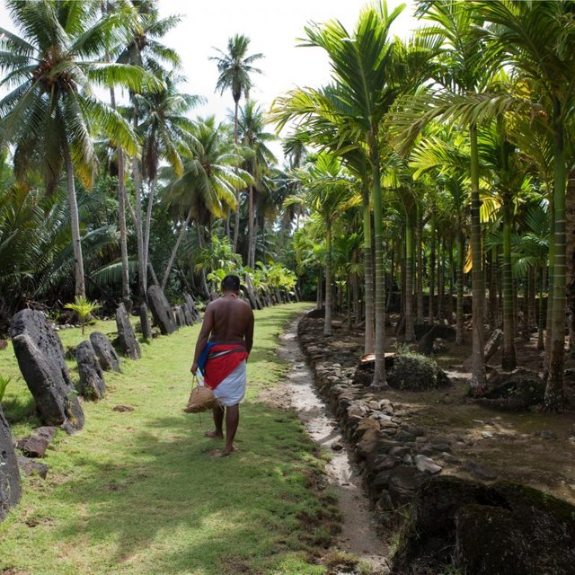 Archaeologists Argue Micronesian Stone Money Comprises Bitcoin Predecessor