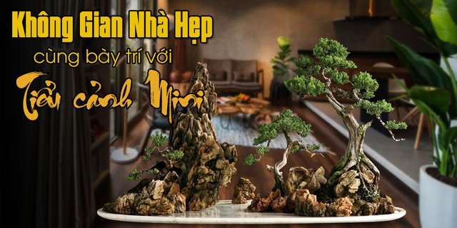 Tiểu cảnh mini cho không gian nhà hẹp