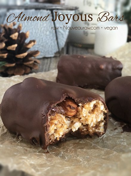 Mouth Watering & indescribably delicious Raw Almond Joyous Bars