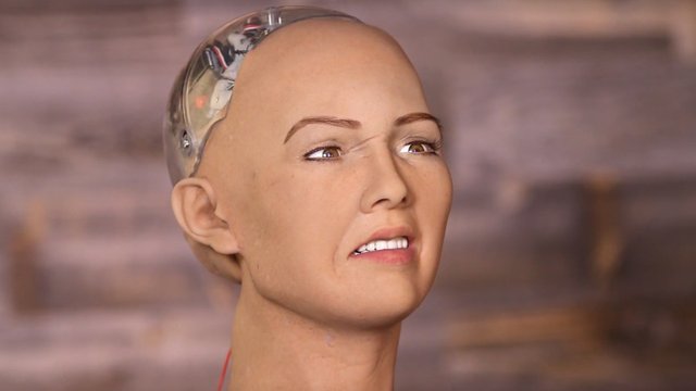 first human robot