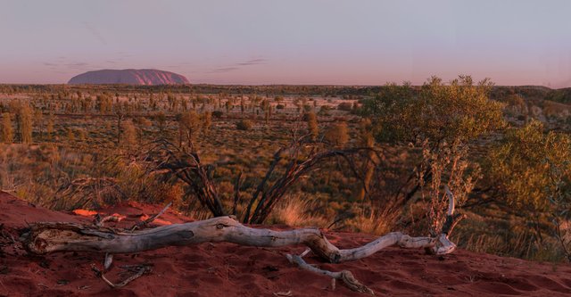 #1 Magic and mayhem across an Uluru Sky