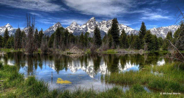 Today&rsquo;s Photo Of The Day is &ldquo;Serene Schwabachers Landing&rdquo; by Michael Morse. Location: Grand Teton National Park, Wyoming.