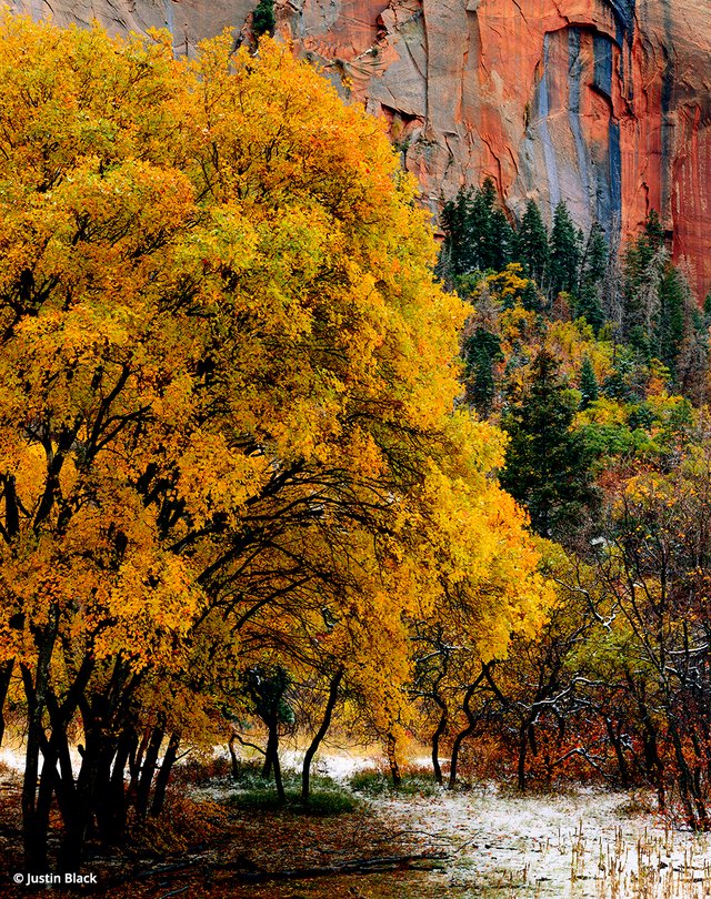 Zion tripod ban: Kolob Canyons