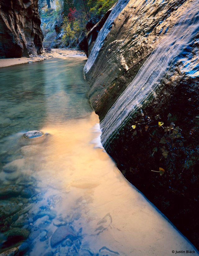 Zion Tripod Ban: The "Narrows"