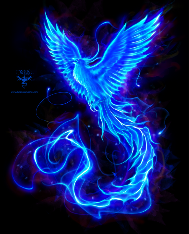 https://orig00.deviantart.net/08af/f/2017/297/8/7/blue_phoenix_artist_logo_smooth_by_amorphisss-dbrlexk.png