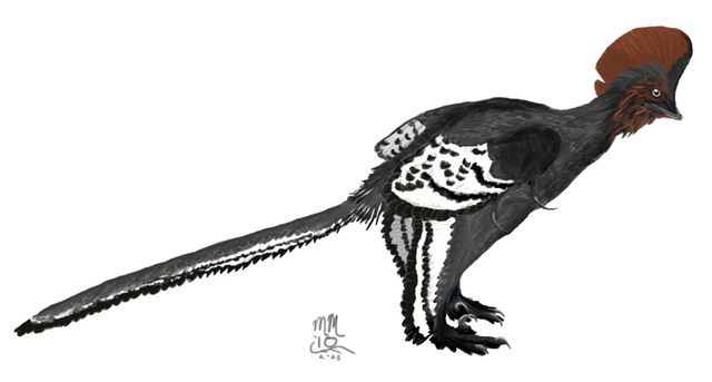 Anchiornis, autor: Matt Martyniuk