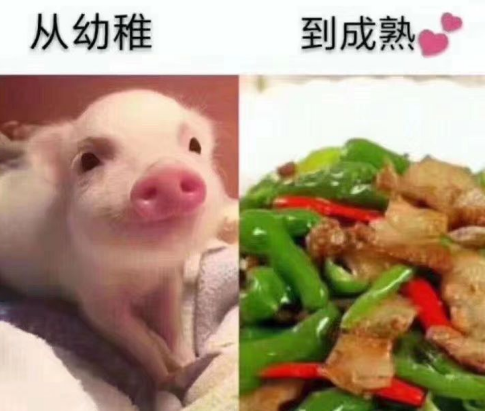 30张搞笑图片大合集，这些都是你没看见过的图片