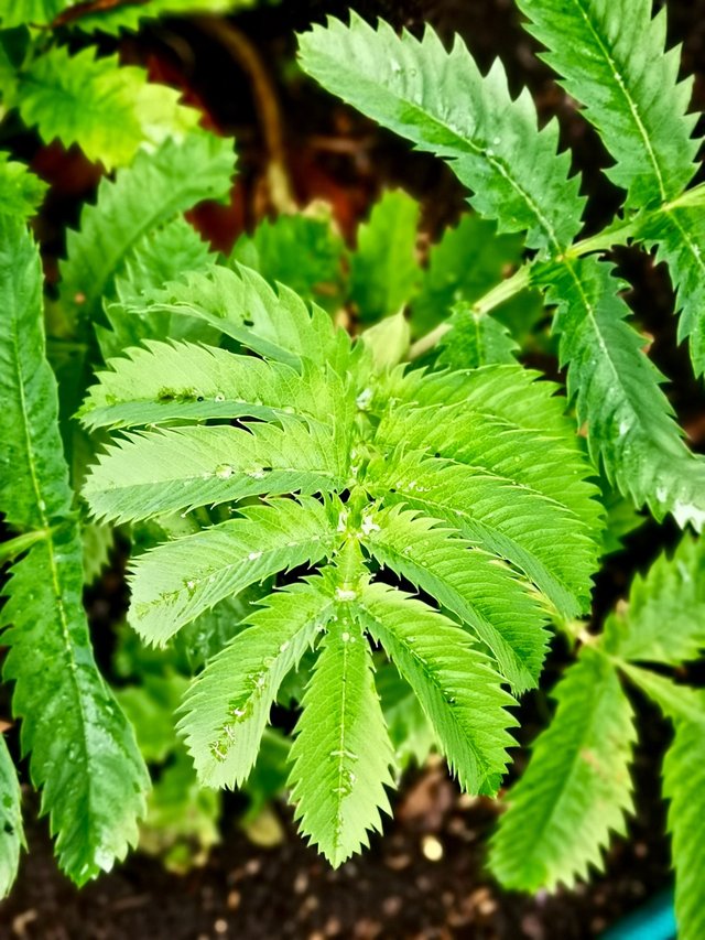 奇趣大自然！分享10张有意思的照片，一起来看看吧