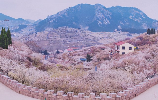 适合穷游的三座城市，不仅平均消费低，而且风景美如画