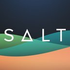 SALT Icon