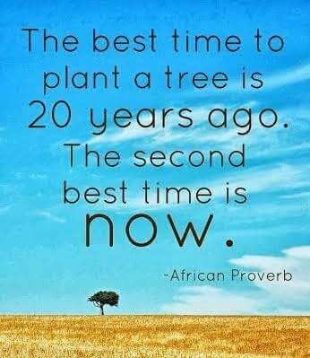 African Proverb