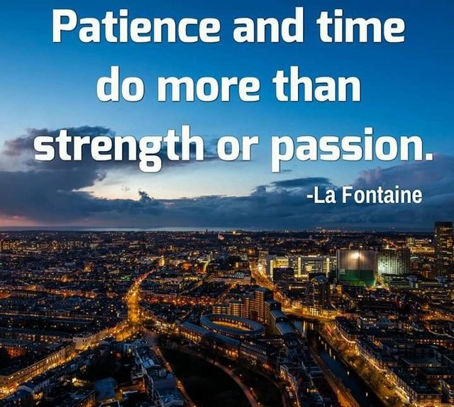 Patience and time do more than strength or passion