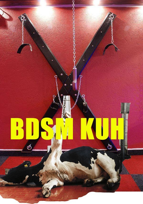 Bdsm kuh