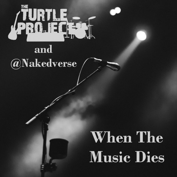 When The Music Dies by The Turtle Project