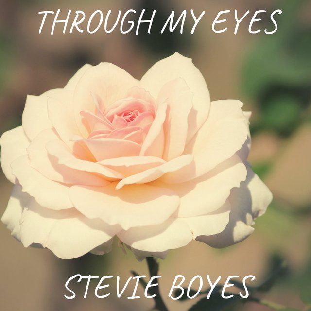 Through my eyes by Stevie Boyes