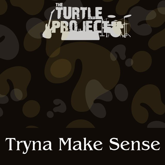 Tryna Make Sense by The Turtle Project