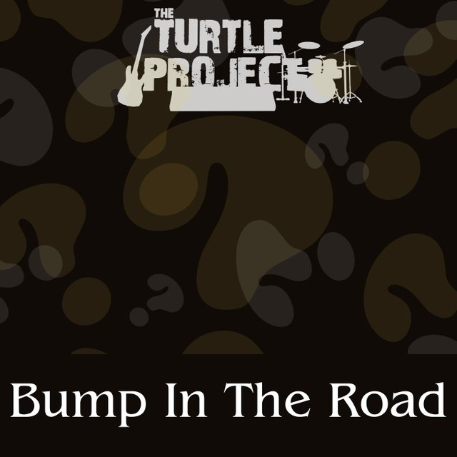 Bump In The Road by The Turtle Project
