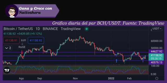 Gráfico diario del par BTC/USDT. Fuente: TradingView.