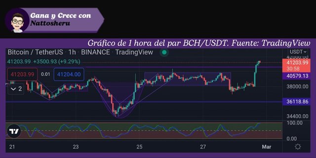 Gráfico de 1 hora del par BTC/USDT. Fuente: TradingView.