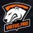 TeamVirtuspro