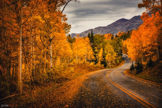 Utah Fall