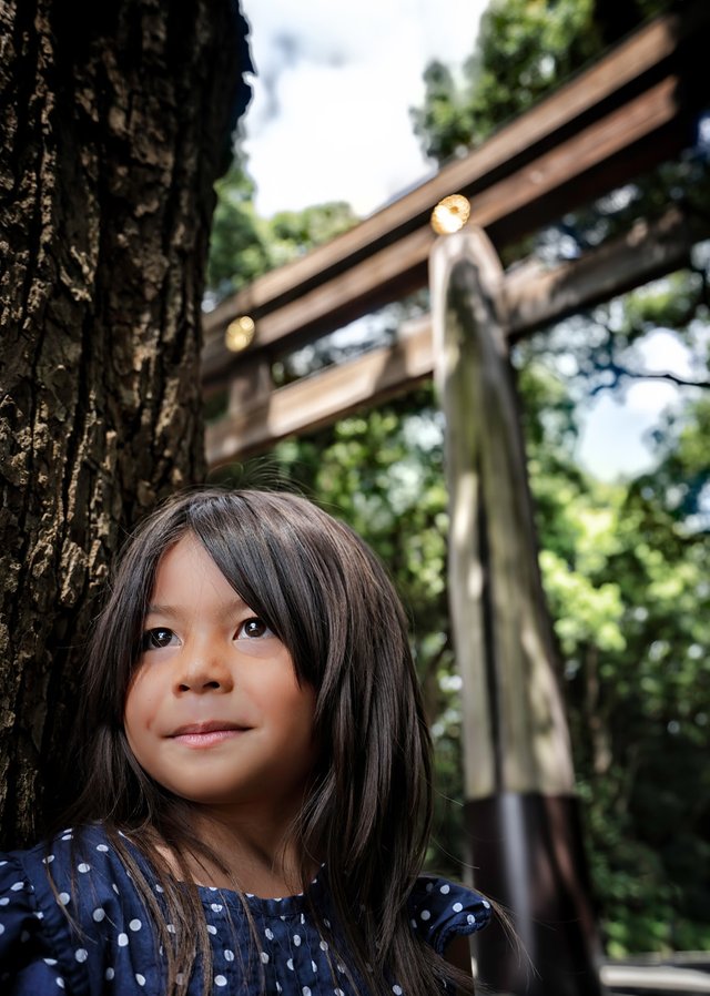 Tokyo-Harajuku-Meiji-Shrine-Temple-Torii-Travel-Portrait-1.jpg