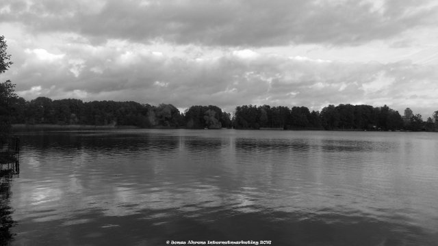 Berlin Heiligensee Autumn Black and White