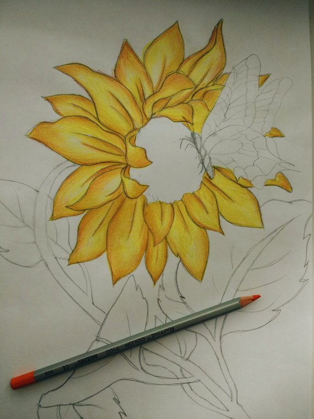 Sunflower Steemit