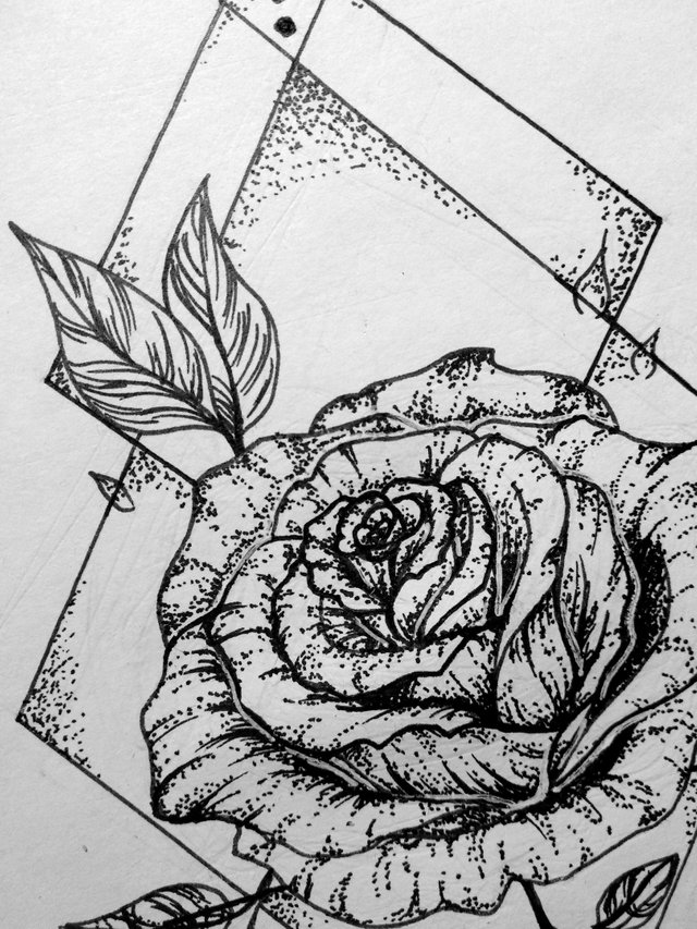 geometric rose drawing