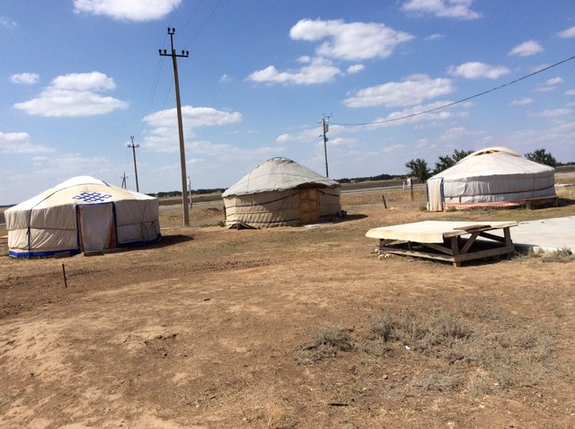 We got to sleep in one of these. Mongols call them ger. Buryats and some others call them yurt. For some reason kalmyk call them kibitka.